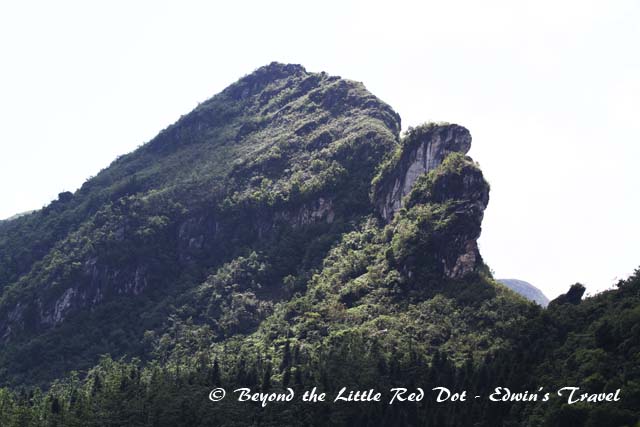 And the mountain that gives the name Ham Rong which means Dragon Mouth. Does it look like a dragon's head with mouth open?